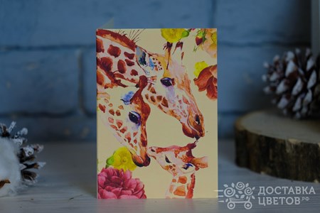 Открытка с рисунком "Жирафы"